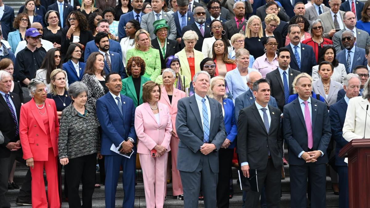 A shot of the House Democratic Caucus on the House East Steps at a press conference.