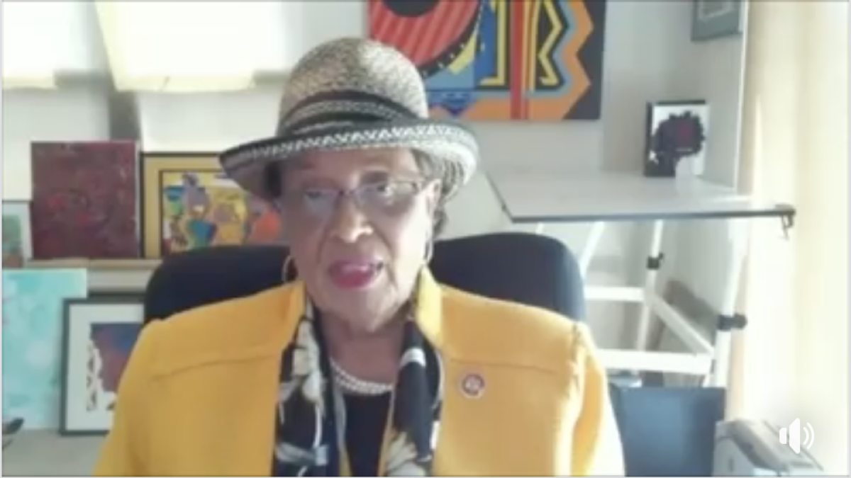 Screenshot of Rep. Adams Video