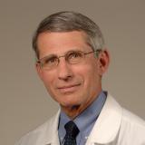 Dr. Fauci