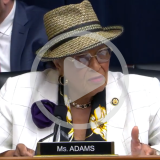 Rep. Adams at a Committee Markup