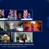 Maternal Health Panel