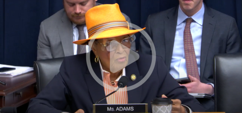 Rep. Adams in a committee hearing.