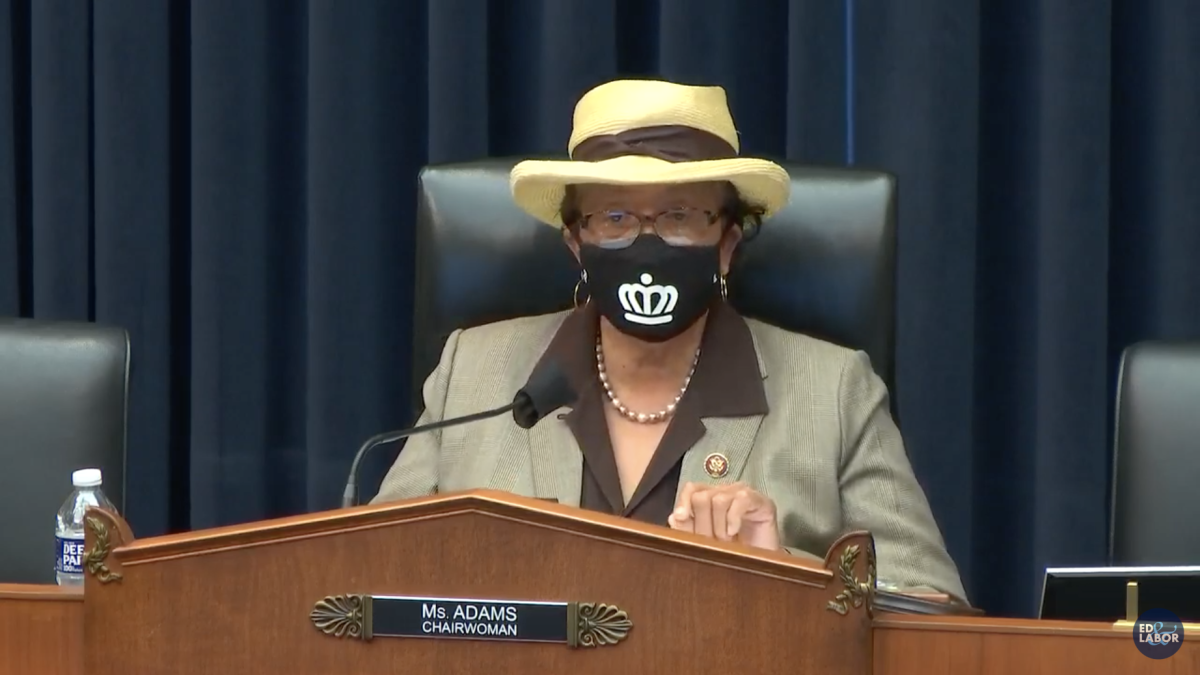 Alma Adams Chairs the Workforce Protections Subcommittee