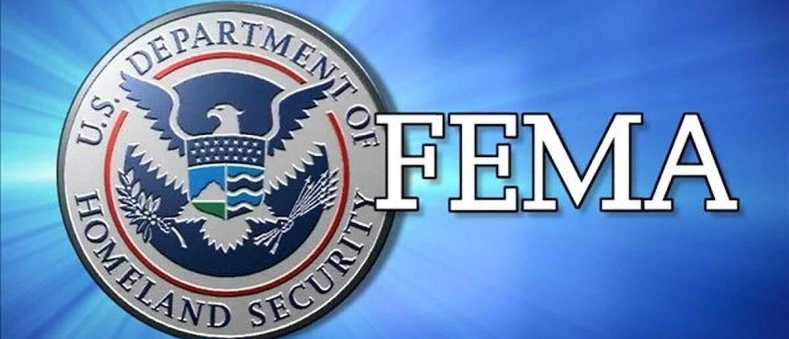 FEMA LOGO