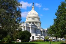 Capitol and trees